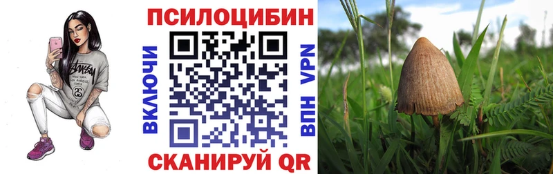 Псилоцибиновые грибы Psilocybine cubensis  купить   Палласовка 